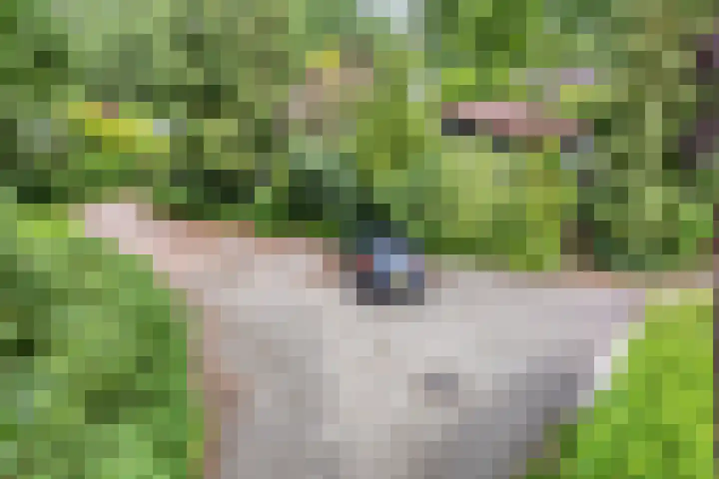 Hermanusweg 47 Schaijk thumbnail 34