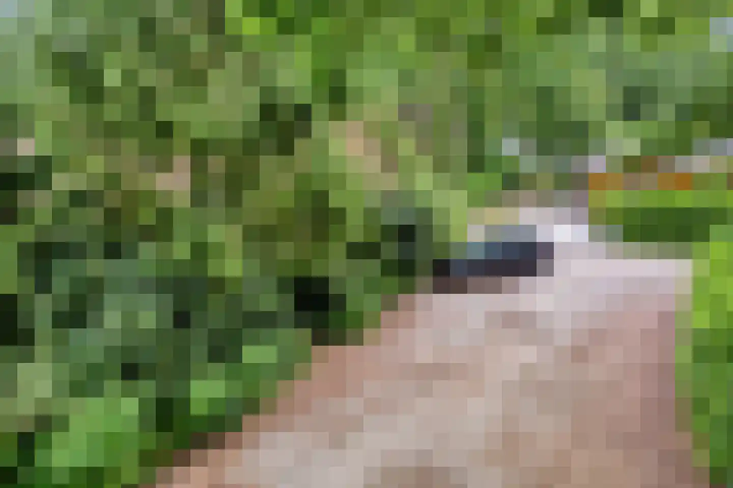 Hermanusweg 47 Schaijk thumbnail 35