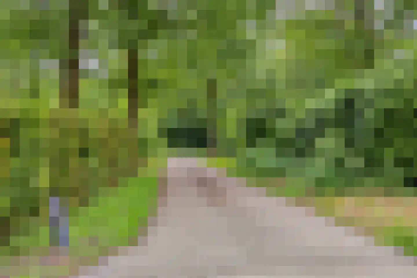Hermanusweg 47 Schaijk thumbnail 36