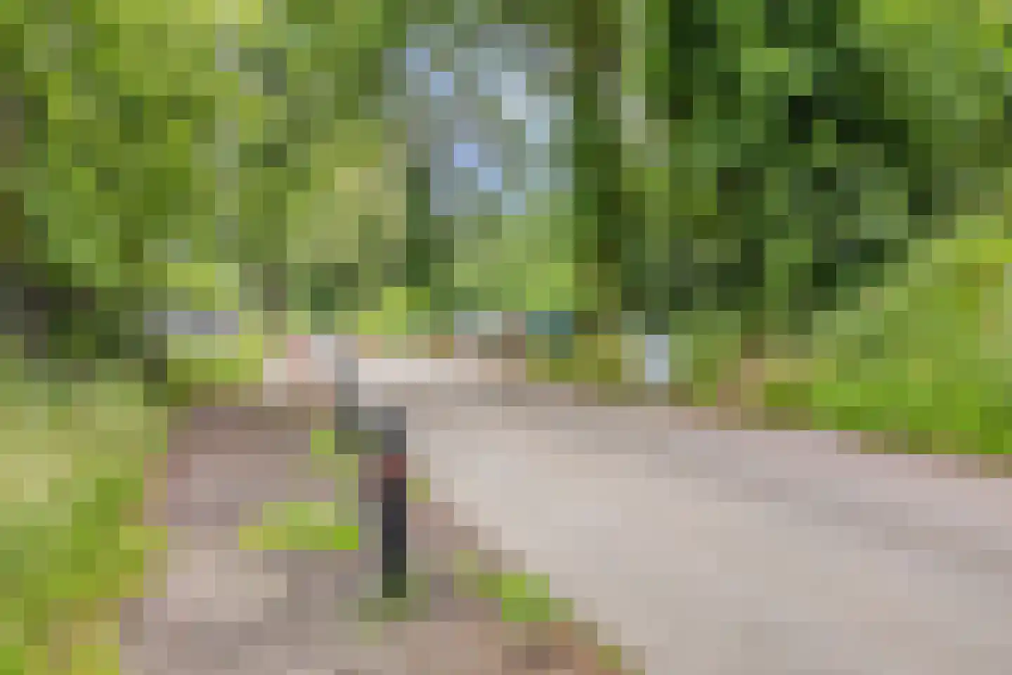 Hermanusweg 47 Schaijk thumbnail 37