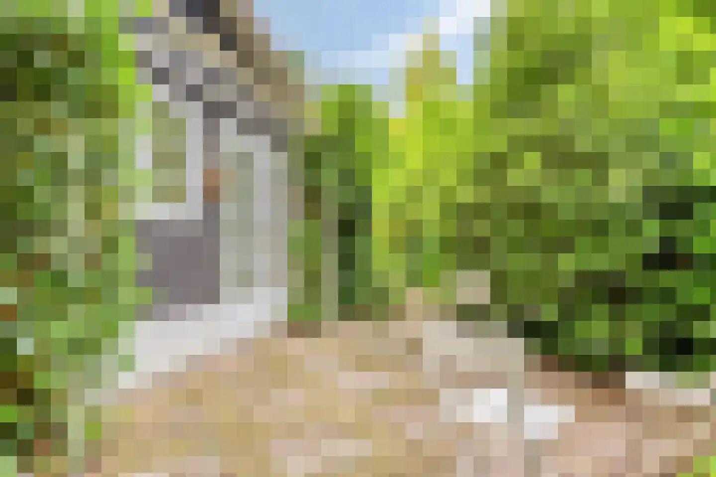 Hermanusweg 47 Schaijk thumbnail 6