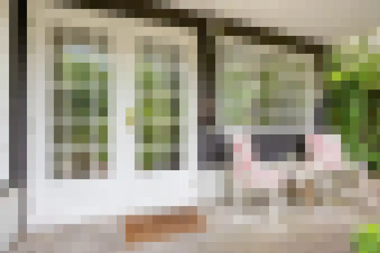 Hermanusweg 47 Schaijk thumbnail 8