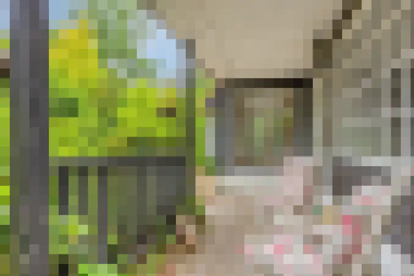 Hermanusweg 47 Schaijk thumbnail 9