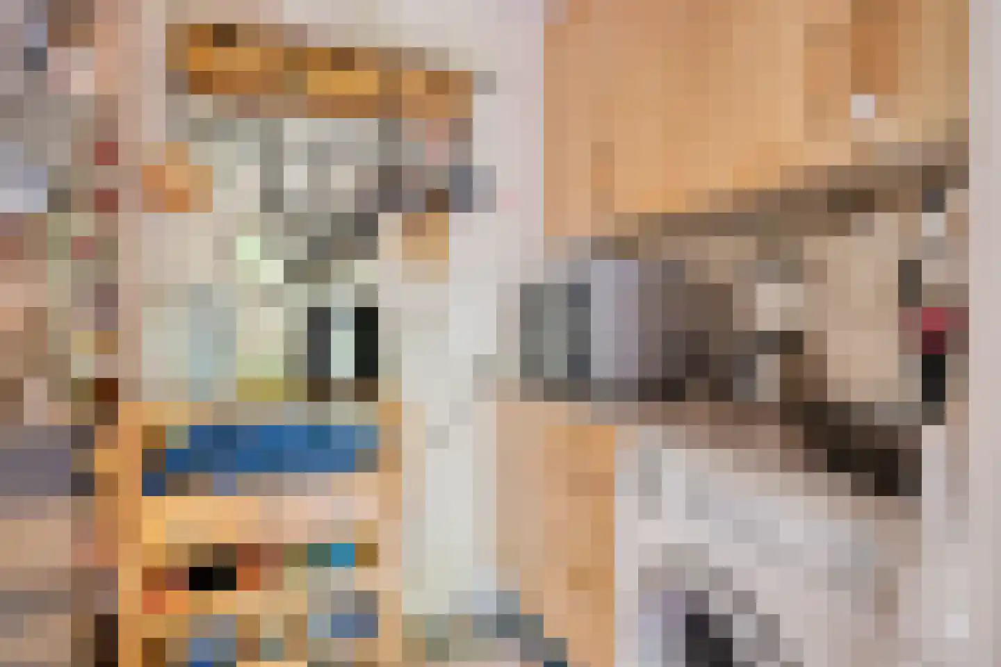 Hermanusweg 93 Schaijk thumbnail 12