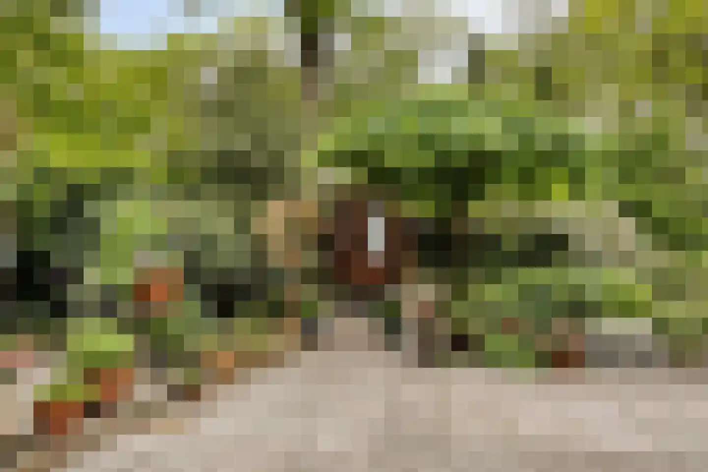 Hermanusweg 93 Schaijk thumbnail 19