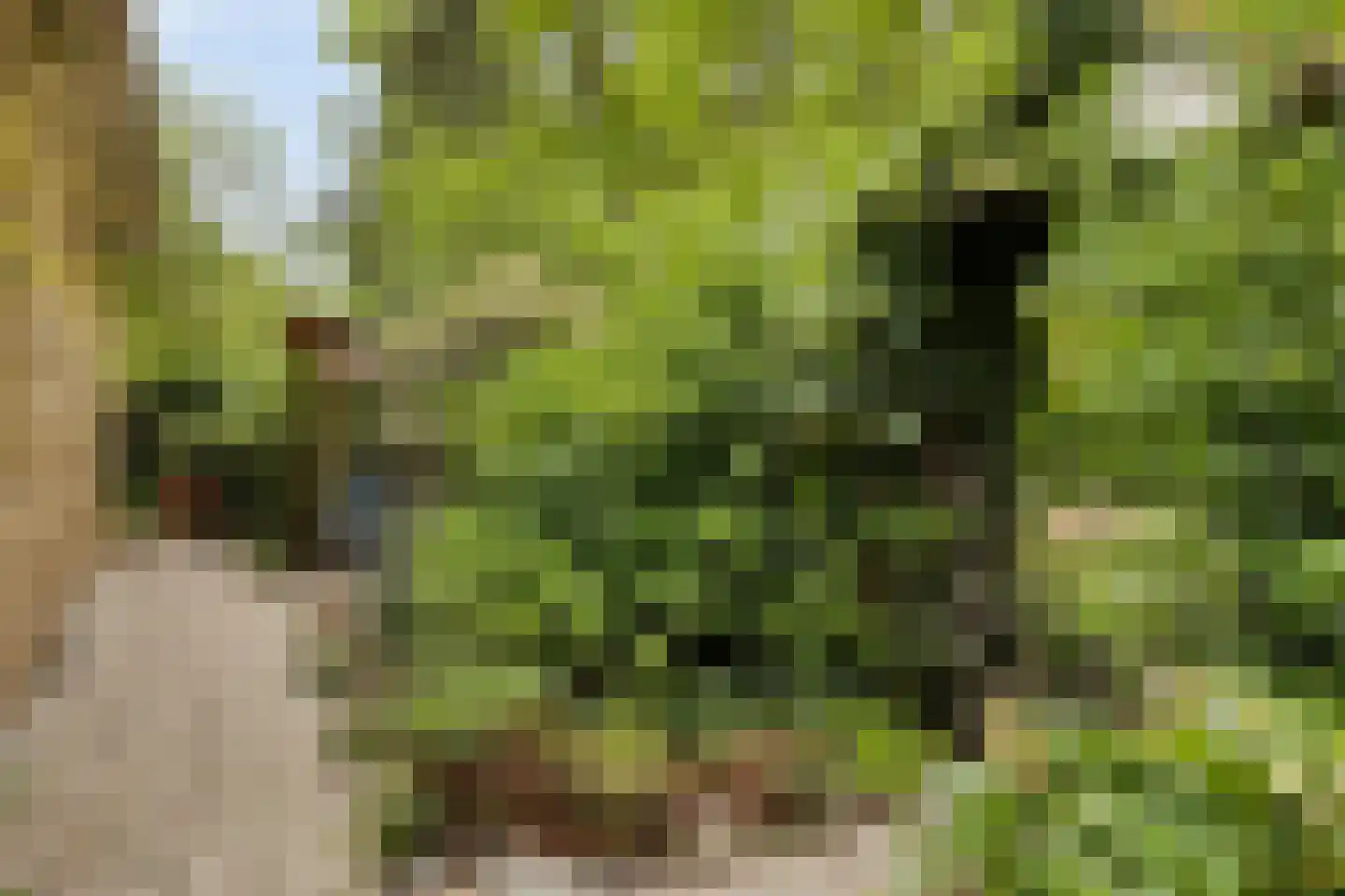 Hermanusweg 93 Schaijk thumbnail 23