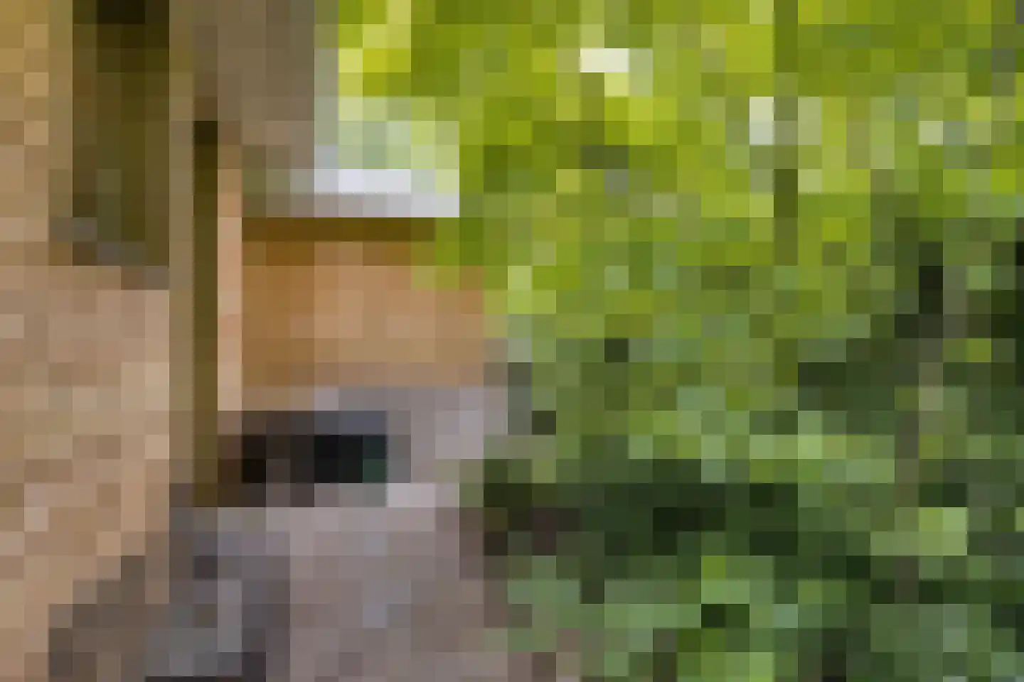 Hermanusweg 93 Schaijk thumbnail 24