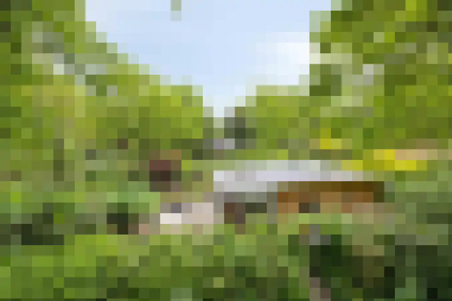 Hermanusweg 93 Schaijk thumbnail 25