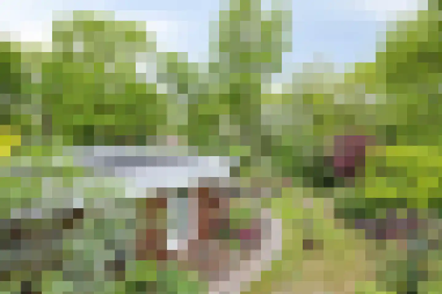 Hermanusweg 93 Schaijk thumbnail 26