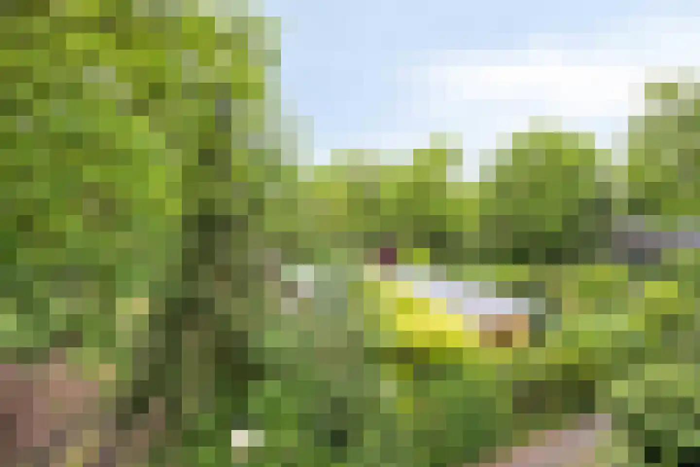 Hermanusweg 93 Schaijk thumbnail 27