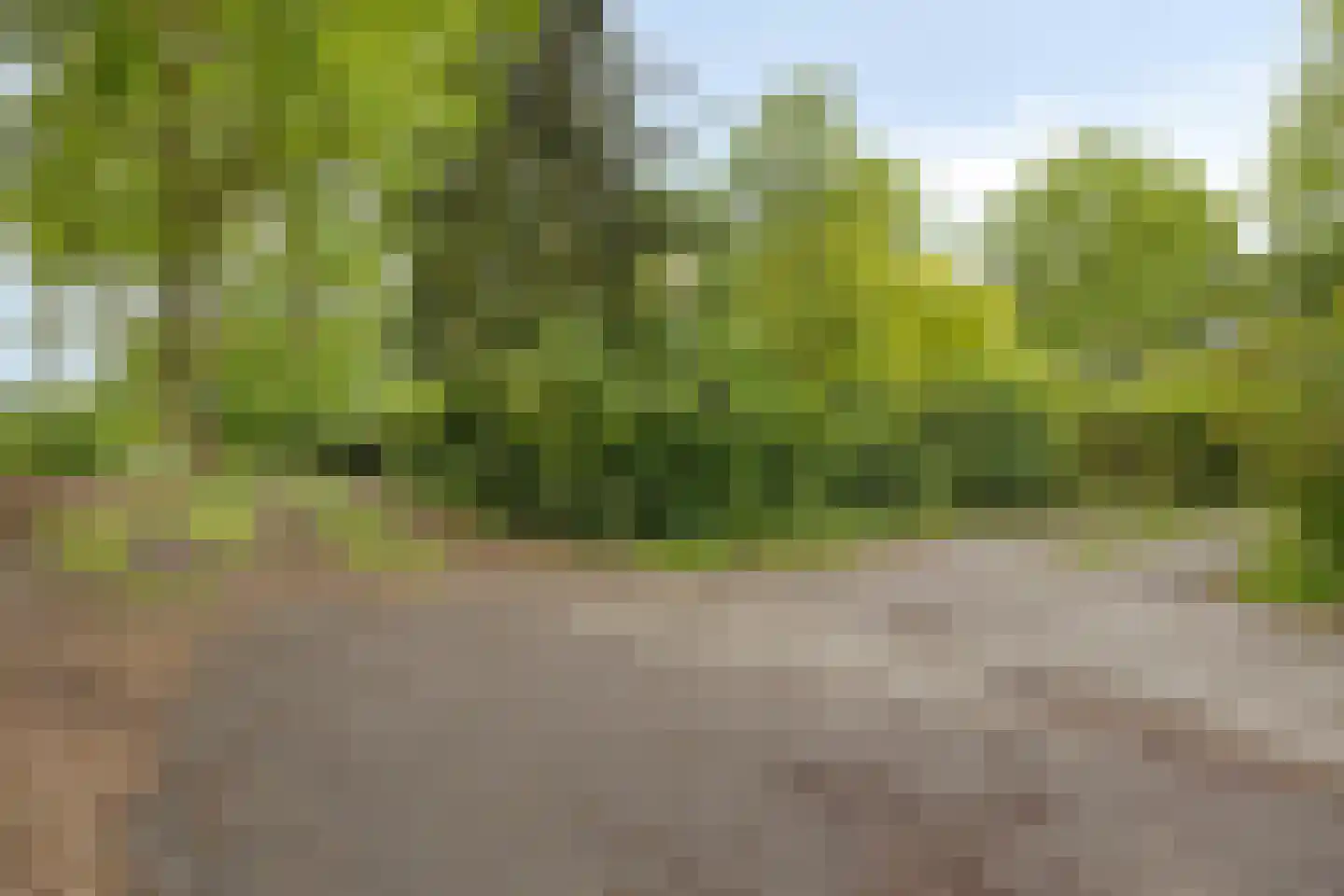 Hermanusweg 93 Schaijk thumbnail 28