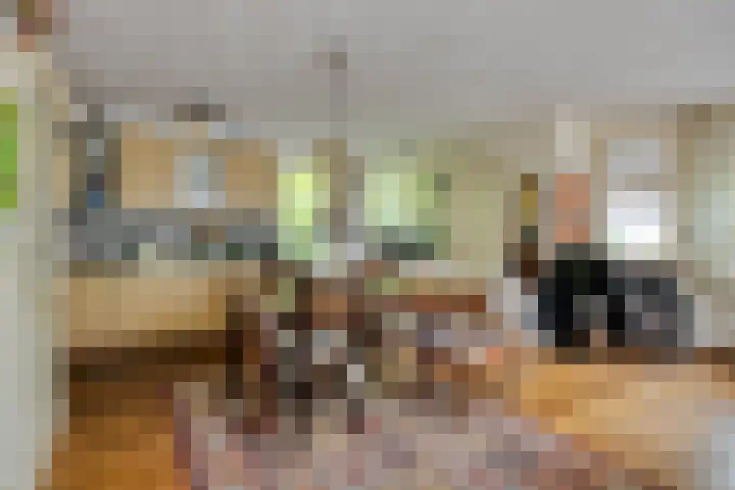 Hermanusweg 93 Schaijk thumbnail 4