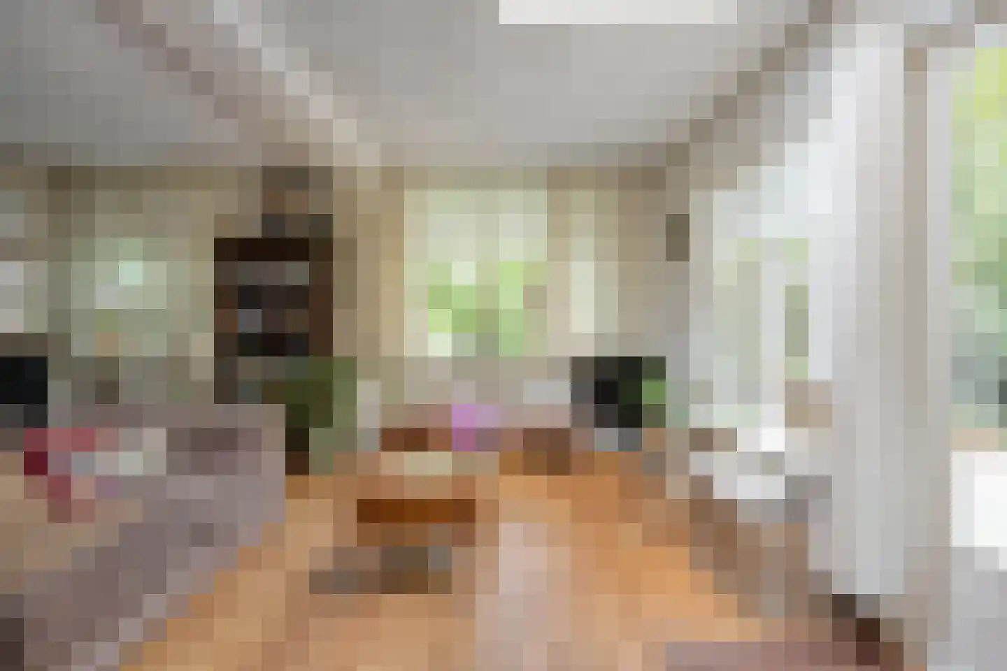 Hermanusweg 93 Schaijk thumbnail 7