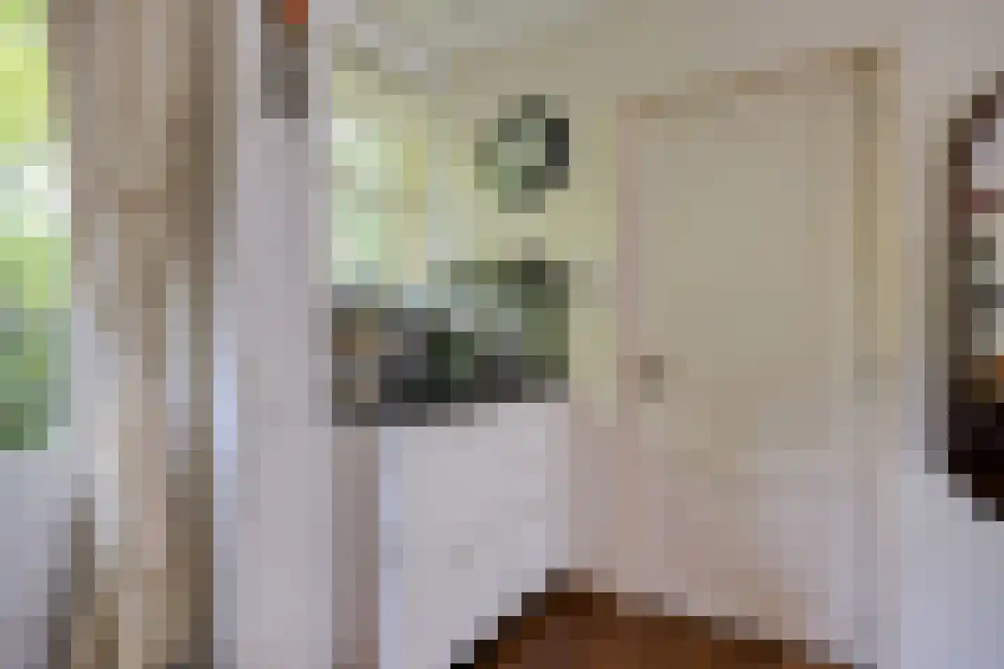 Hermanusweg 93 Schaijk thumbnail 9