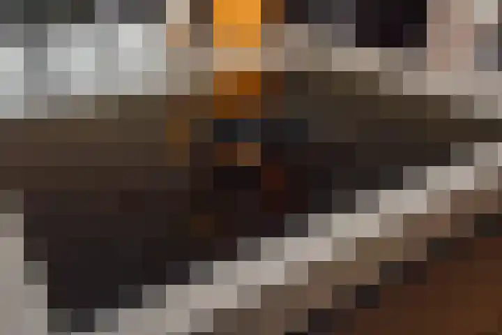 Hermelijn 11 's-Gravenzande thumbnail 19