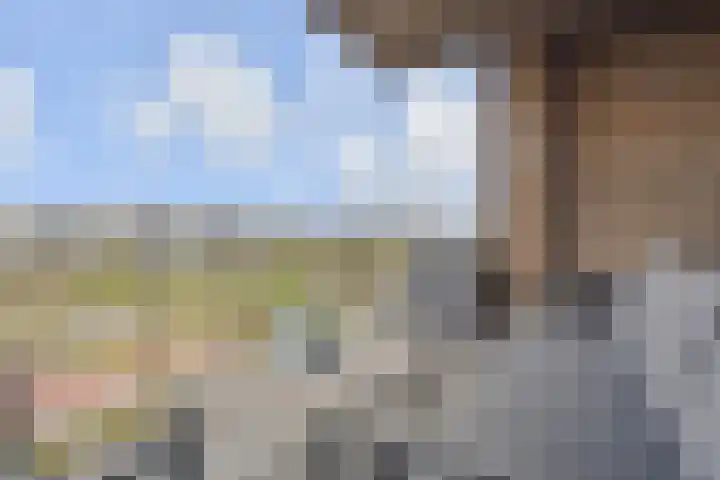 Hermelijn 11 's-Gravenzande thumbnail 25