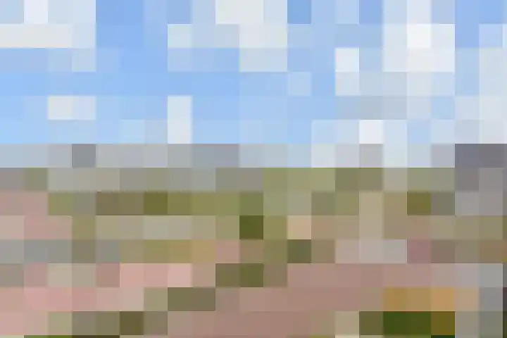 Hermelijn 11 's-Gravenzande thumbnail 27