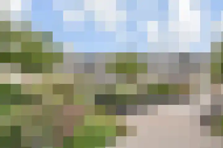 Hermelijn 11 's-Gravenzande thumbnail 47