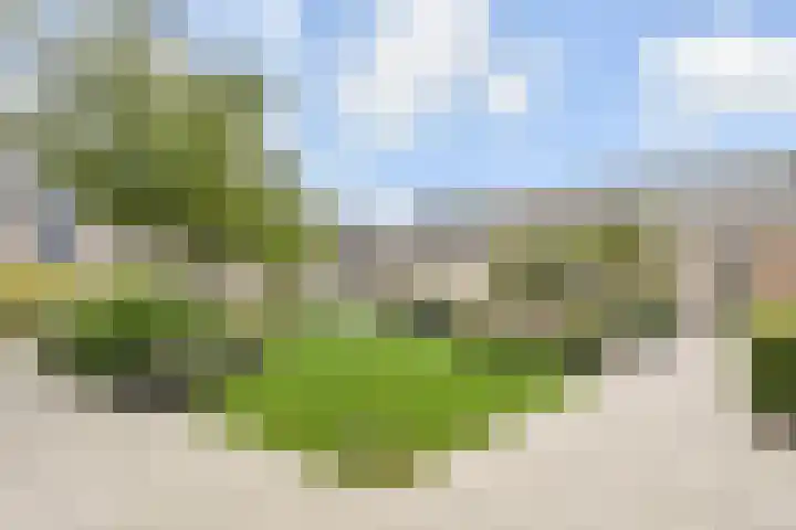 Hermelijn 11 's-Gravenzande thumbnail 48
