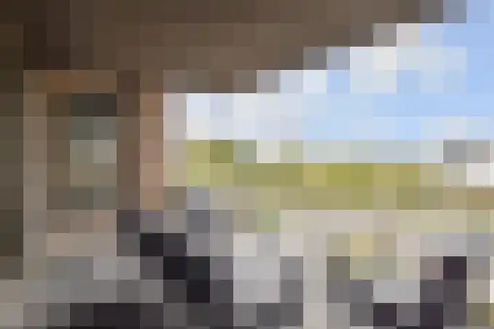 Hermelijn 11 's-Gravenzande thumbnail 5