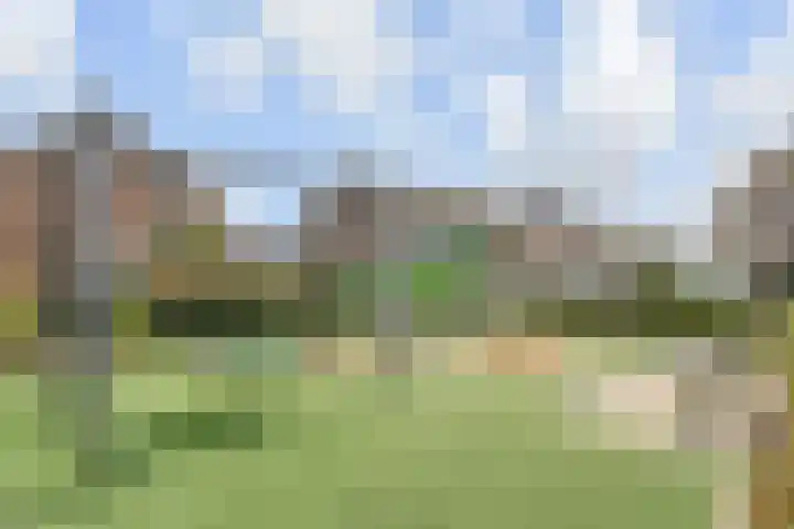 Hermelijn 11 's-Gravenzande thumbnail 53