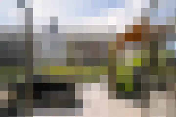 Hermelijn 22 's-Gravenzande thumbnail 16