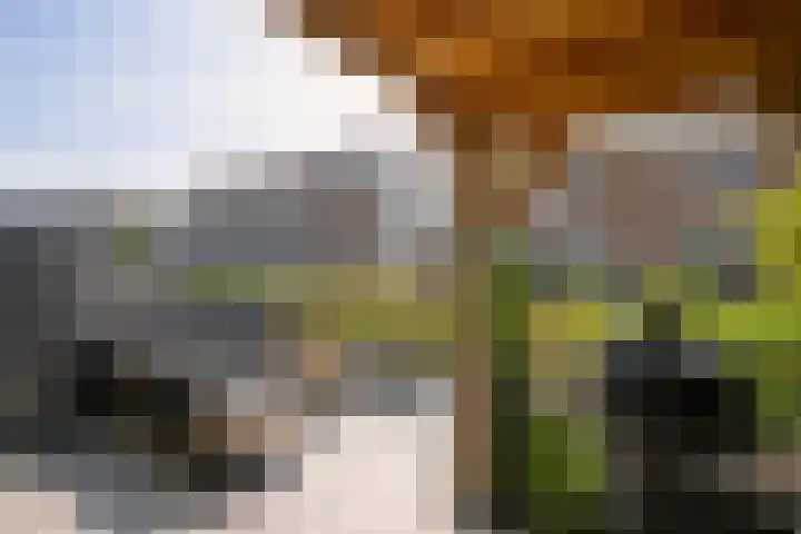 Hermelijn 22 's-Gravenzande thumbnail 17