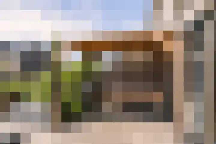 Hermelijn 22 's-Gravenzande thumbnail 18