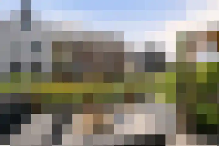 Hermelijn 22 's-Gravenzande thumbnail 19