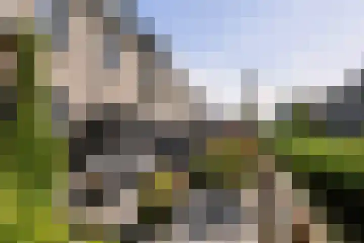 Hermelijn 22 's-Gravenzande thumbnail 20
