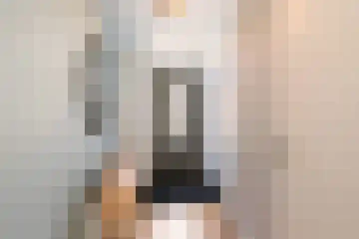Hermelijn 22 's-Gravenzande thumbnail 24