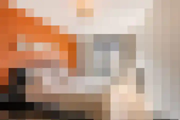Hermelijn 22 's-Gravenzande thumbnail 25