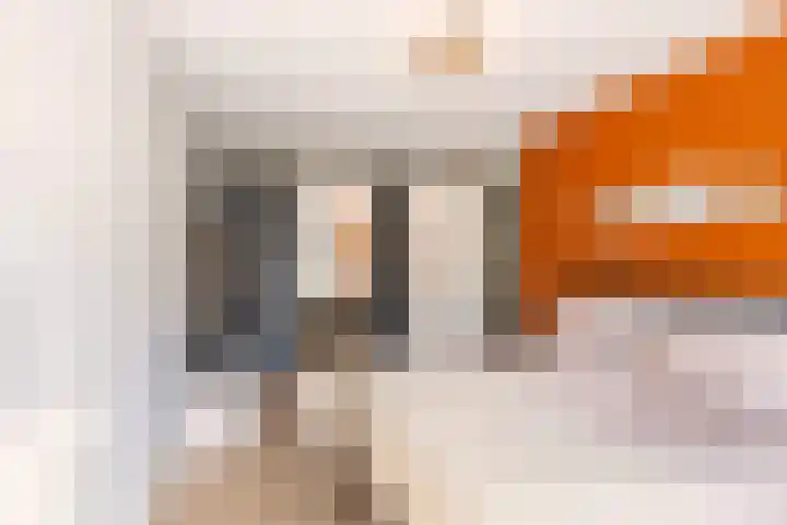 Hermelijn 22 's-Gravenzande thumbnail 26