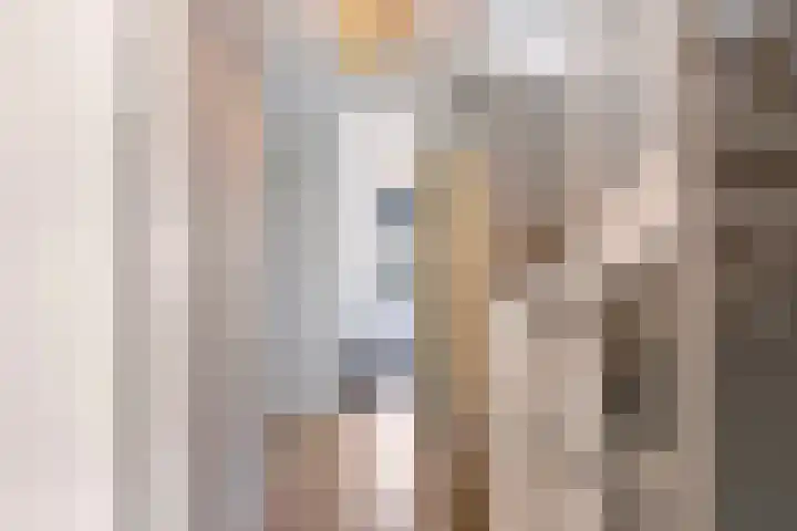 Hermelijn 22 's-Gravenzande thumbnail 27