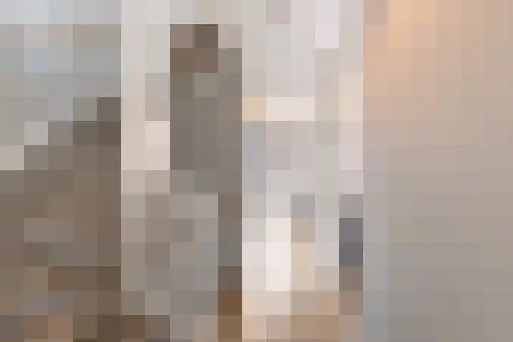 Hermelijn 22 's-Gravenzande thumbnail 35