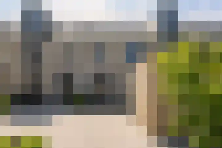 Hermelijn 22 's-Gravenzande thumbnail 39