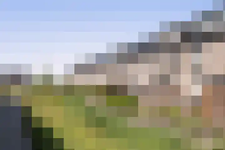 Hermelijn 22 's-Gravenzande thumbnail 41