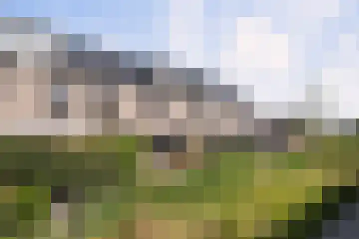 Hermelijn 22 's-Gravenzande thumbnail 42