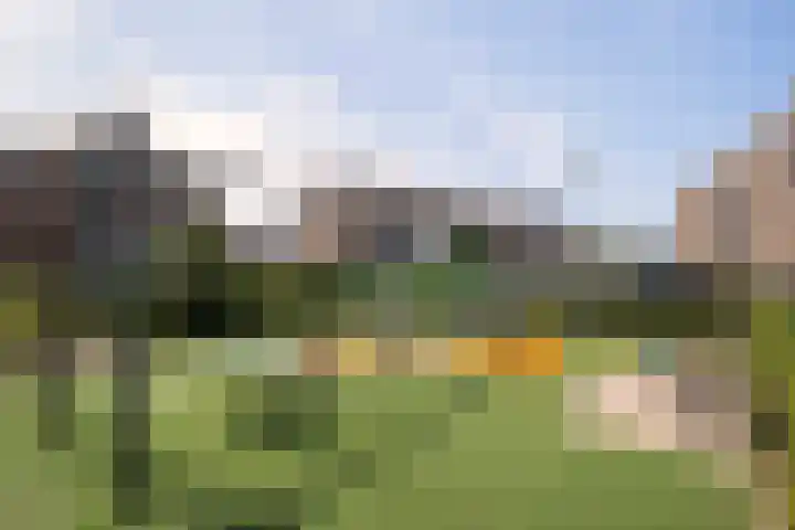 Hermelijn 22 's-Gravenzande thumbnail 43