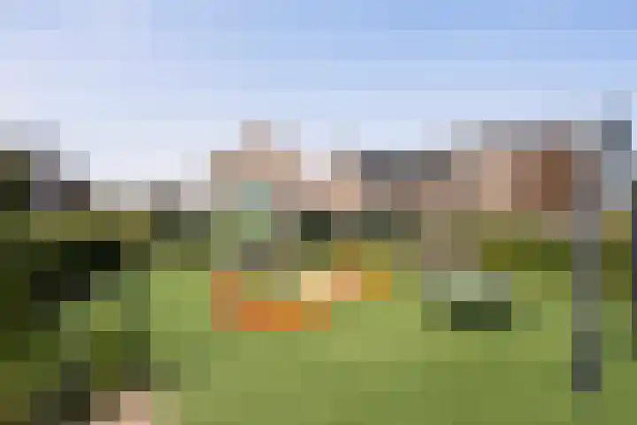 Hermelijn 22 's-Gravenzande thumbnail 44