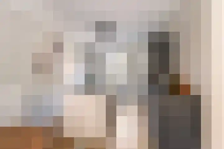 Hermelijn 22 's-Gravenzande thumbnail 9