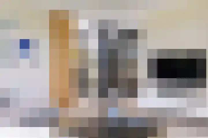 Hermelijn 25 Apeldoorn thumbnail 10