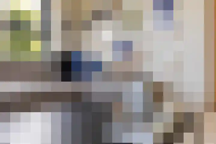 Hermelijn 25 Apeldoorn thumbnail 11
