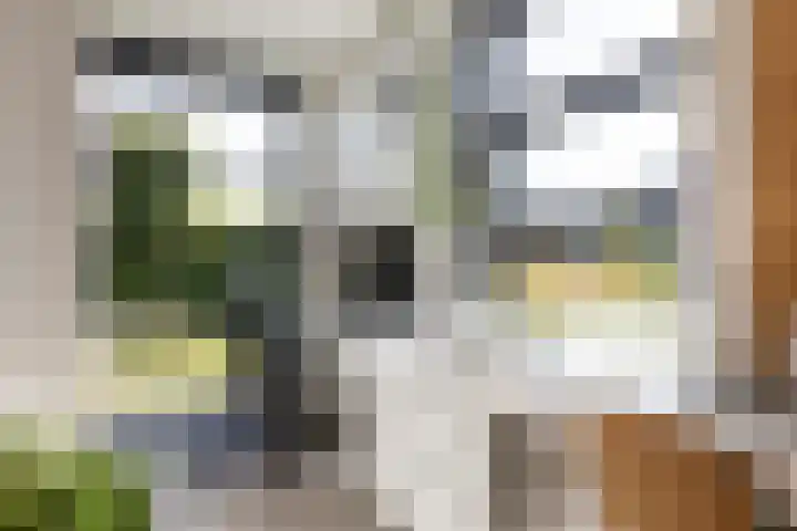 Hermelijn 25 Apeldoorn thumbnail 13