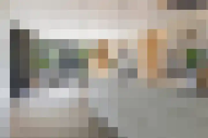 Hermelijn 25 Apeldoorn thumbnail 16