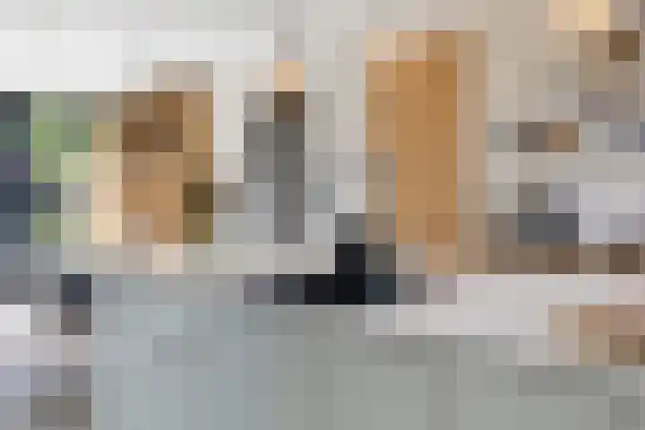 Hermelijn 25 Apeldoorn thumbnail 17