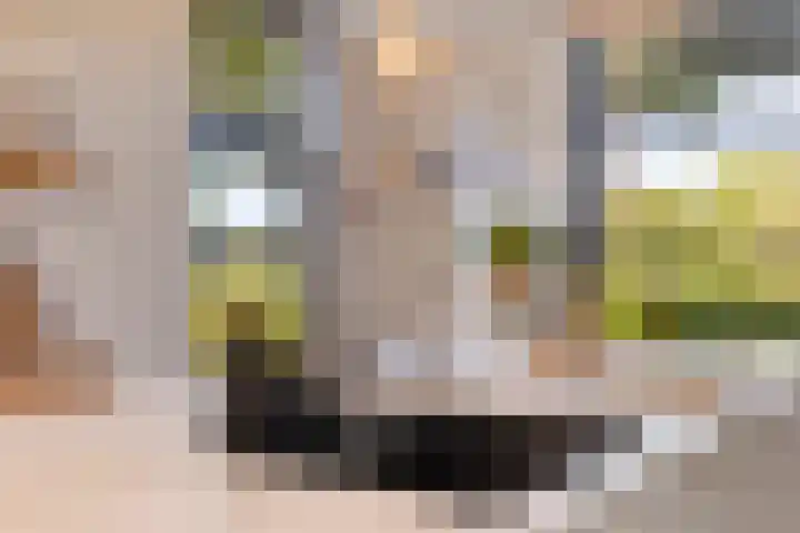 Hermelijn 25 Apeldoorn thumbnail 18