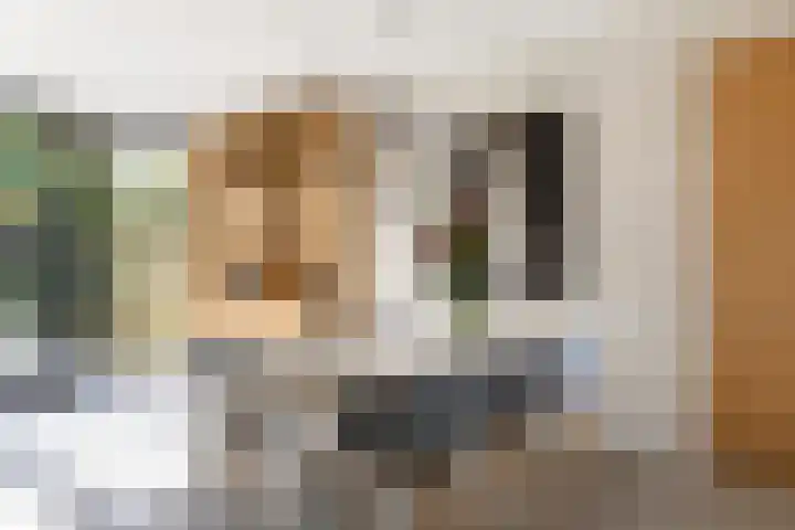 Hermelijn 25 Apeldoorn thumbnail 20