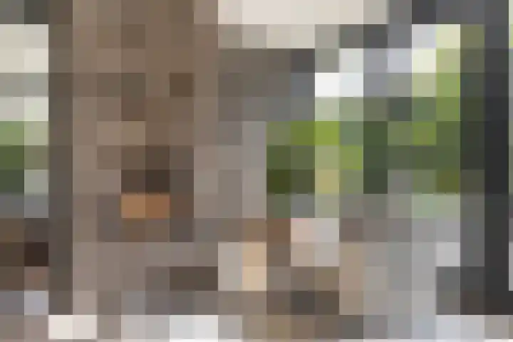 Hermelijn 25 Apeldoorn thumbnail 22