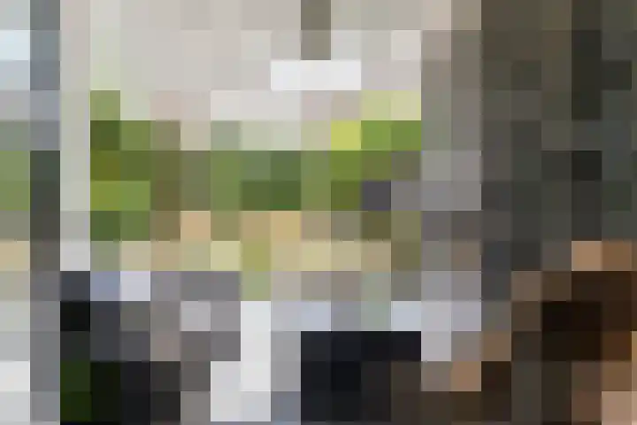 Hermelijn 25 Apeldoorn thumbnail 23